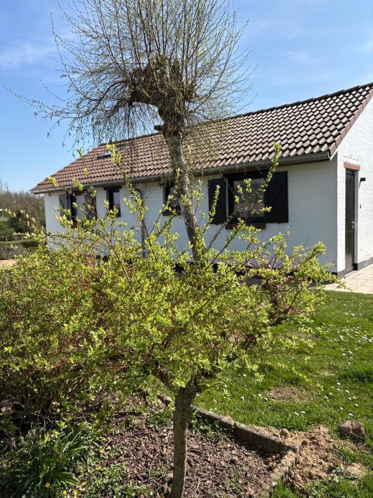 Mijn Kleinhof Vila Westouter Exterior foto